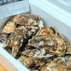 食べチョク 牡蠣 松島。リピート必至、めっちゃ美味しい牡蠣をブログで紹介 | 主婦が
